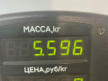 стойка задняя Rover 600 Series 1 поколение 1997, 2.0 л., бензин, МКПП, зеленый, седан, передний привод - фото №4