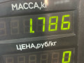защита (кожух) ремня ГРМ Ford Transit 6 поколение 2000, 2.4 л., i, дизель, МКПП, микроавтобус, задний привод - фото №3