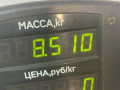 стойка передняя левая Citroen Xsara 1 поколение 2000, 1.6 л., NFZ (TU5JP), бензин, АКПП, синий, хетчбэк 5 дв., передний привод - фото №3