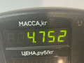 диск тормозной передний Volkswagen Golf 4 поколение 2000, 1.9 л., дизель, МКПП, хетчбэк 5 дв., передний привод - фото №3