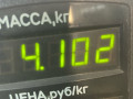 диск тормозной передний Nissan Primera P10 1994, 1.6 л., бензин, МКПП, синий, седан - фото №3