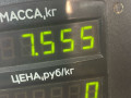 стойка задняя Toyota Carina E 1 поколение 1997, 1.8 л., бензин, МКПП, хетчбэк 5 дв., передний привод, 7A-FE - фото №5