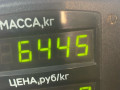 диск тормозной передний Renault Scenic 1 поколение 1998, 1.9 л., F9Q 716, дизель, МКПП, синий, минивэн, передний привод - фото №4