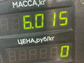 стойка задняя Volkswagen Passat B3 1988, 1.8 л., бензин, МКПП, белый, седан, передний привод - фото №4
