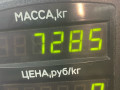 стойка передняя правая SEAT Toledo 1 поколение [рестайлинг] 1998, 1.8 л., бензин, МКПП, хетчбэк 5 дв. - фото №5
