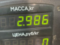 пружина задняя Volkswagen Golf 3 поколение 1994, 1.4 л., mono, бензин, МКПП, хетчбэк 5 дв., передний привод - фото №3
