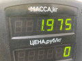 стеклоподъемник электрический задний левый Kia Sorento 1 поколение 2004, 2.5 л., CRDi, D4CB, дизель, АКПП, серебристый, внедорожник 5 дв., полный подключаемый привод - фото №4