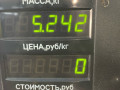 суппорт передний правый Renault Laguna 1 поколение 1996, 1.8 л., бензин, МКПП, хетчбэк 5 дв. - фото №3