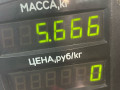 стойка задняя Rover 600 Series 1 поколение 1997, 2.0 л., бензин, МКПП, зеленый, седан, передний привод - фото №4