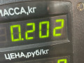защита (кожух) ремня ГРМ Nissan Primera P10 1997, 2.0 л., D, CD20, дизель, МКПП, хетчбэк 5 дв., передний привод, CD20, ZEXEL - фото №3