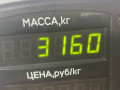амортизатор задний Opel Omega B 1997, 2.5 л., X 25 DT, дизель, МКПП, черный, универсал - фото №3