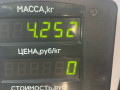 пружина задняя Opel Vectra A 1990, 1.6 л., i, бензин, МКПП, седан, передний привод, C16NZ - фото №3