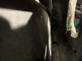 дверь задняя левая SEAT Ibiza 2 поколение 1998, 1.6 л., ALM, бензин, 5МКПП, синий, хетчбэк 5 дв., передний привод - фото №7