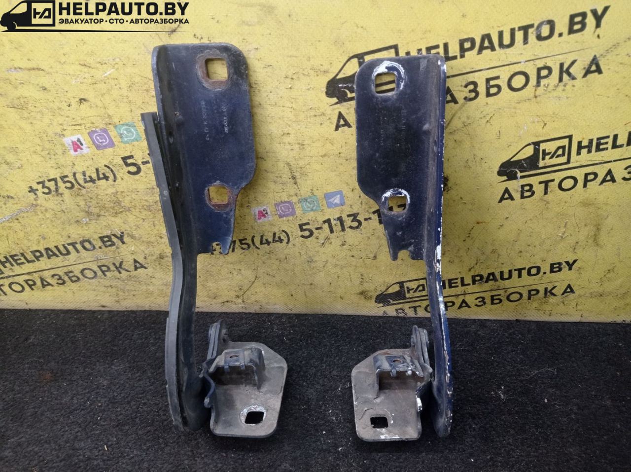 петля капота Renault Scenic 1 поколение 1998, 1.9 л., F9Q 716, дизель, МКПП, синий, минивэн, передний привод - фото №1