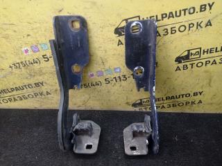 петля капота Renault Scenic 1 поколение 1998, 1.9 л., F9Q 716, дизель, МКПП, синий, минивэн, передний привод