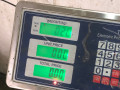 ручка наружная Mercedes-Benz C-Класс W202/S202 [рестайлинг] W202 1997, 2.2 л., OM 604.910, дизель, МКПП, темно зеленный металлик, седан, задний привод - фото №5