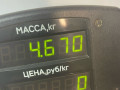 стойка задняя Nissan Maxima A32 1997, 2.0 л., VQ20DE, бензин, 5МКПП, зеленый, седан, передний привод - фото №4