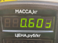 замок двери задней левой Suzuki Baleno 1 поколение 1998, 1.3 л., i, G13BB, бензин, МКПП, серебристый, седан, передний привод - фото №6