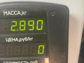пружина задняя Audi 100 4A/C4 1992, 2.3 л., бензин, МКПП, седан, передний привод - фото №3