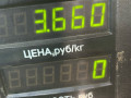 пружина задняя Volkswagen Golf 3 поколение (1991 - 2000), хетчбэк 5 дв. - фото №3