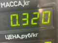 защитный кожух тормозного механизма Volkswagen Golf 5 поколение 2008, 1.4 л., BUD, бензин, 5МКПП, синий, хетчбэк 5 дв., передний привод - фото №2