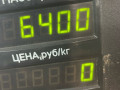 стойка передняя правая Volkswagen Polo 3 поколение 1999, 1.4 л., бензин, МКПП, черный, хетчбэк 3 дв., передний привод - фото №3