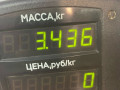 пружина передняя Mercedes-Benz CLK-Класс W208/A208 1997, 2.3 л., M 111.975, бензин, АКПП, серебристый, купе, задний привод - фото №3