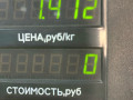 радиатор гидроусилителя Renault Safrane 1 поколение [рестайлинг] 1997, 2.0 л., бензин, АКПП, синий, хетчбэк 5 дв., передний привод - фото №5