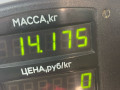 стойка передняя левая Opel Vectra A 1990, 1.8 л., бензин, МКПП, седан, передний привод - фото №4