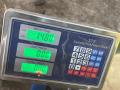 дверь задняя правая Citroen Xsara 1 поколение [рестайлинг] 2001, 1.9 л., дизель, МКПП, универсал - фото №10