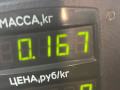 защита (кожух) ремня ГРМ Honda Accord 5 поколение 1995, 2.0 л., F20B, бензин, АКПП, черный, седан - фото №2