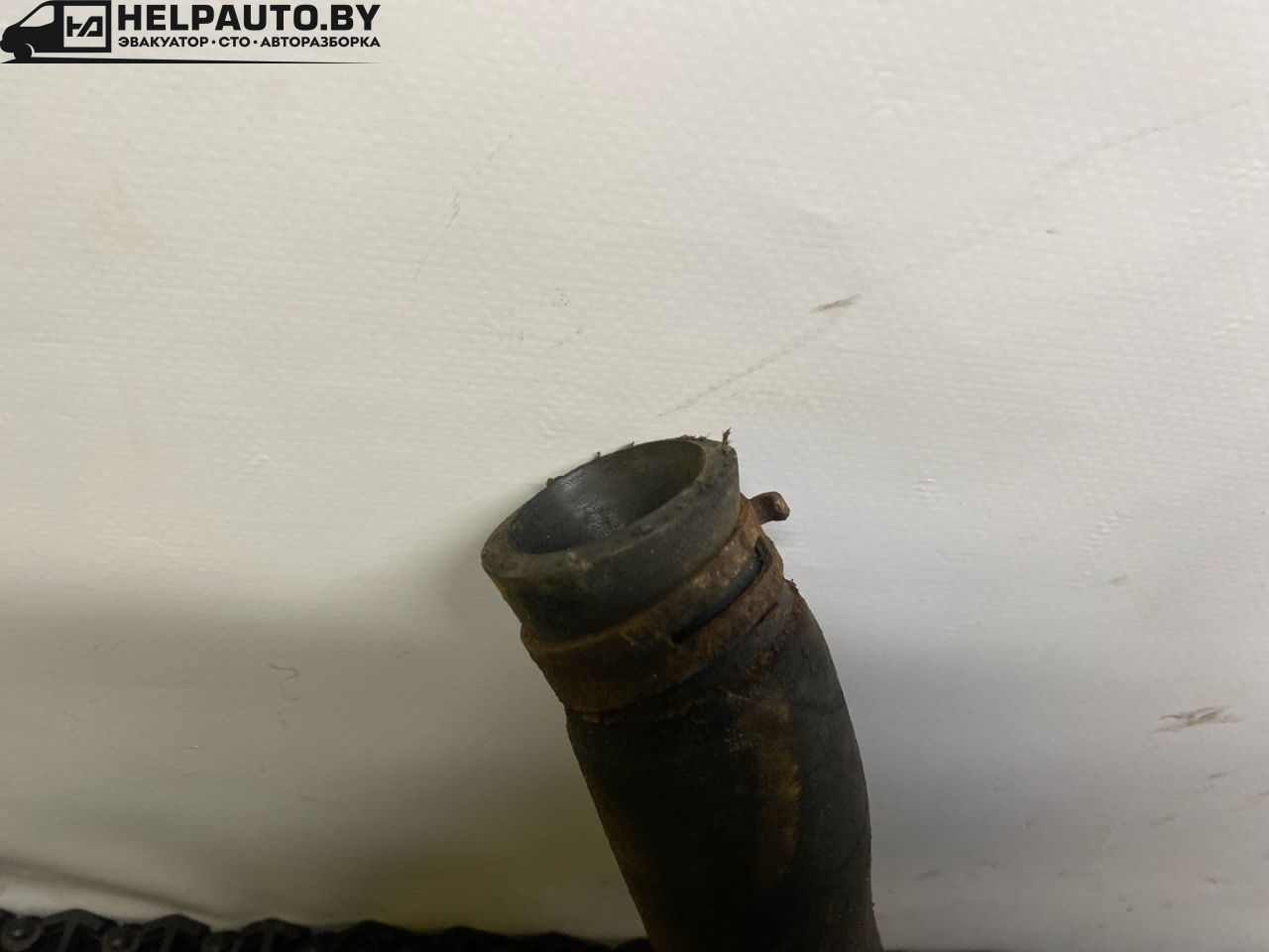 патрубок радиатора Opel Omega B 1999, 3.0 л., бензин, АКПП, чернозеленый, седан, задний привод - фото №1