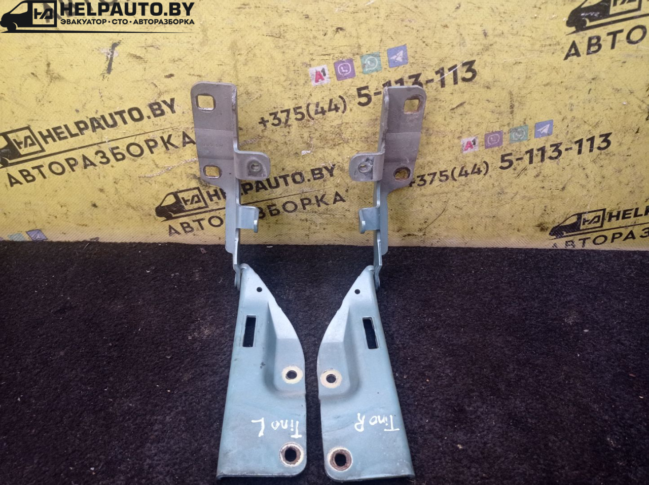 петля капота Nissan Almera Tino V10 2001, 2.2 л., YD22DDT, дизель, МКПП, берюзовый, минивэн, передний привод - фото №1