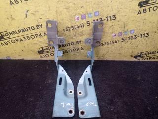 петля капота Nissan Almera Tino V10 2001, 2.2 л., YD22DDT, дизель, МКПП, берюзовый, минивэн, передний привод