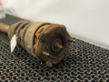 стойка задняя Nissan Maxima A33 (2000 - 2005), 3.0 л., бензин, АКПП, белый, седан, передний привод - фото №5