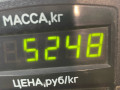 стойка задняя Ford Escort 4 поколение 1989, 1.6 л., дизель, МКПП, хетчбэк 3 дв., передний привод, LTC - фото №3
