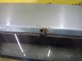 крышка багажника (дверь 3-5) Nissan Almera Tino V10 2001, 2.2 л., YD22DDT, дизель, МКПП, берюзовый, минивэн, передний привод - фото №4