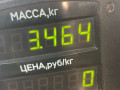 диск тормозной передний Fiat Punto 1 поколение 1997, 1.2 л., бензин, МКПП, белый, хетчбэк 5 дв. - фото №4