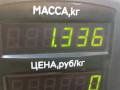амортизатор задний правый Dacia Logan 1 поколение 2005, 1.6 л., K7M 710, бензин, МКПП, синий, седан, передний привод, 004947000175, 315530, 814901003137 - фото №5