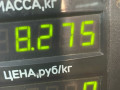 турбина Nissan Terrano JR50 2000, 2.7 л., дизель, МКПП, серый - фото №4
