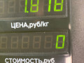вакуумный усилитель тормозов SEAT Ibiza 2 поколение 1998, 1.6 л., ALM, бензин, 5МКПП, синий, хетчбэк 5 дв., передний привод - фото №3