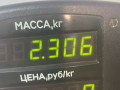 амортизатор задний Audi 100 4A/C4 1992, 2.3 л., i, бензин, МКПП, седан, передний привод, NF - фото №3