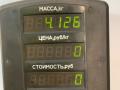 амортизатор передний левый Renault Laguna 1 поколение [рестайлинг] 2000, 1.8 л., бензин, МКПП, бордовый, универсал, передний привод - фото №5