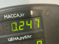 защита (кожух) ремня ГРМ Mazda 323 6 поколение 1998, 2.0 л., дизель, МКПП, синий, хетчбэк 3 дв. - фото №3