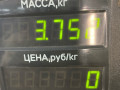 суппорт передний левый Opel Astra F 1992, 1.4 л., C 14 NZ, бензин, МКПП, красный, хетчбэк 5 дв., передний привод - фото №2