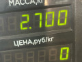 амортизатор задний левый Nissan Maxima A32 1999, 2.0 л., i, бензин, МКПП, седан, передний привод, VQ20 - фото №3