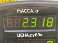 кронштейн генератора Mazda 626 GF [рестайлинг] GF 1999, 2.0 л., дизель, МКПП, черный, седан, передний привод - фото №4