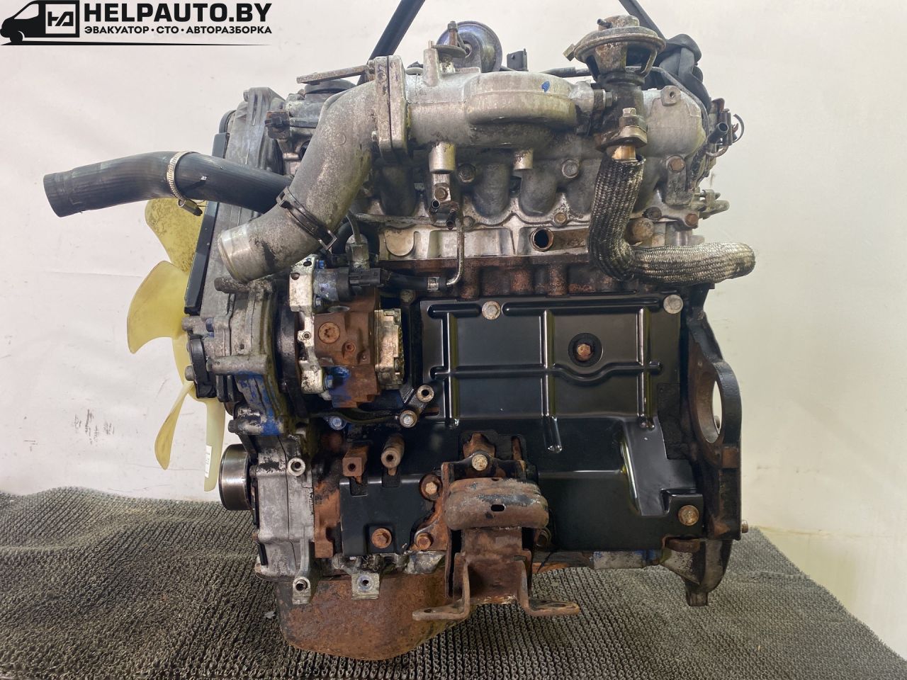 подушка крепления двигателя Kia Sorento 1 поколение 2003, 2.5 л., D4CB, дизель, МКПП, внедорожник 5 дв. - фото №1