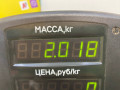 подушка крепления двигателя Mazda 626 GF [рестайлинг] GF 1999, 2.0 л., дизель, МКПП, черный, седан, передний привод - фото №5