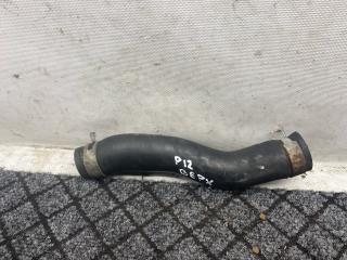 патрубок радиатора Nissan Primera P12 2002, 2.2 л., дизель, передний привод